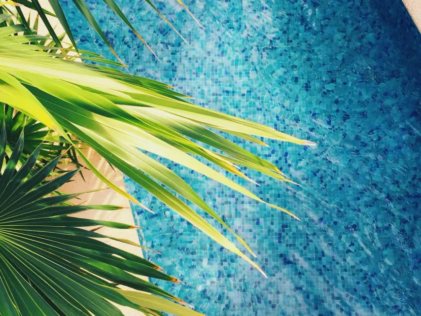 Piscina de gresite azul junto a una palmera